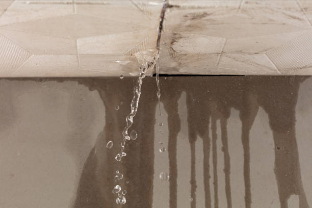 Professional Flood Damage Cleanup technician working in Grosse Pointe, MI